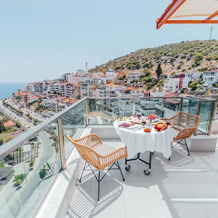 Fortunella 3* Финике